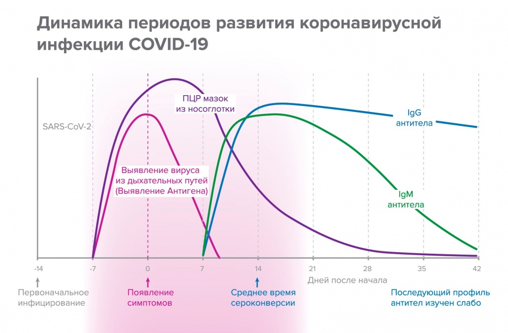 dinam-covid.jpg